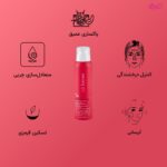 فوم شستشوی صورت مدل 1 مناسب پوست چرب و معمولی حجم 150 میلی لیتر - تصویر 2