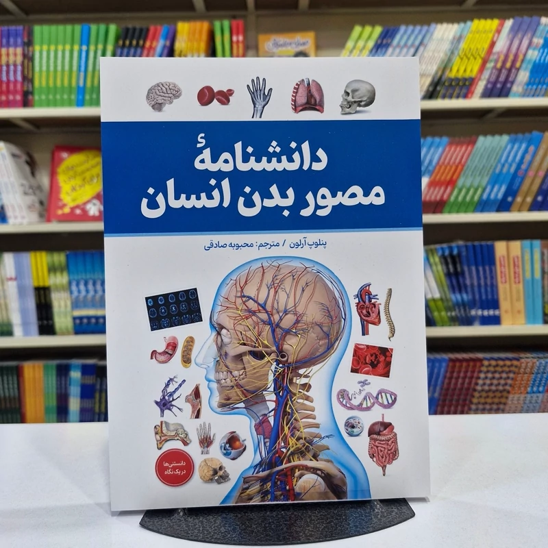 zim9UF9ZeCJbvWZPJ5anHKCtVTUhDRxzO0nLhNwY7YArsx8oVJ.jpg_800X800X70.webp *کتاب دانشنامه مصور بدن انسان اثر پنلوپ آرلون انتشارات آذربیان* - تصویر 1