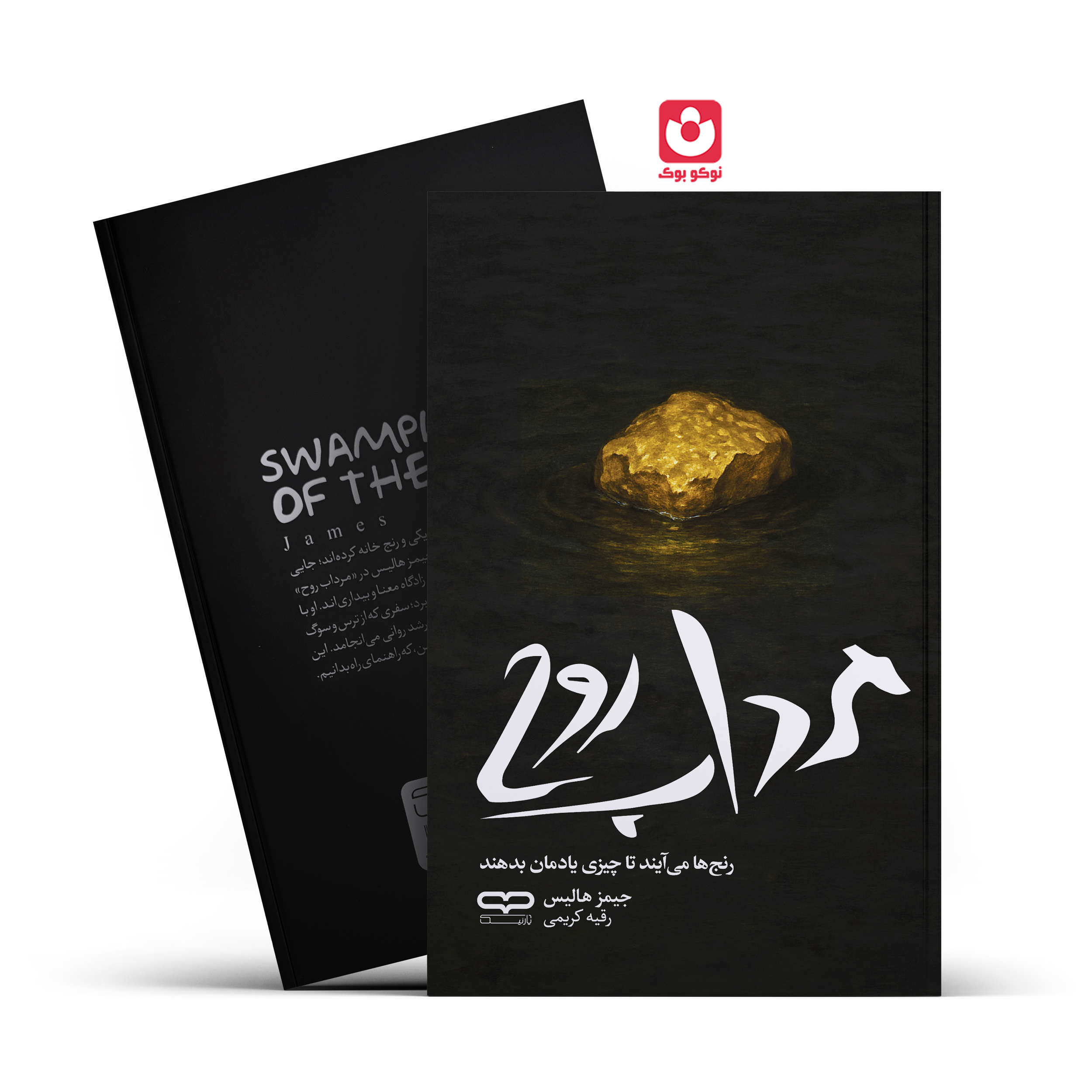 IMG_20260303_120726. کتاب مرداب روح اثر جیمز هالیس انتشارات یارنیک - تصویر 1