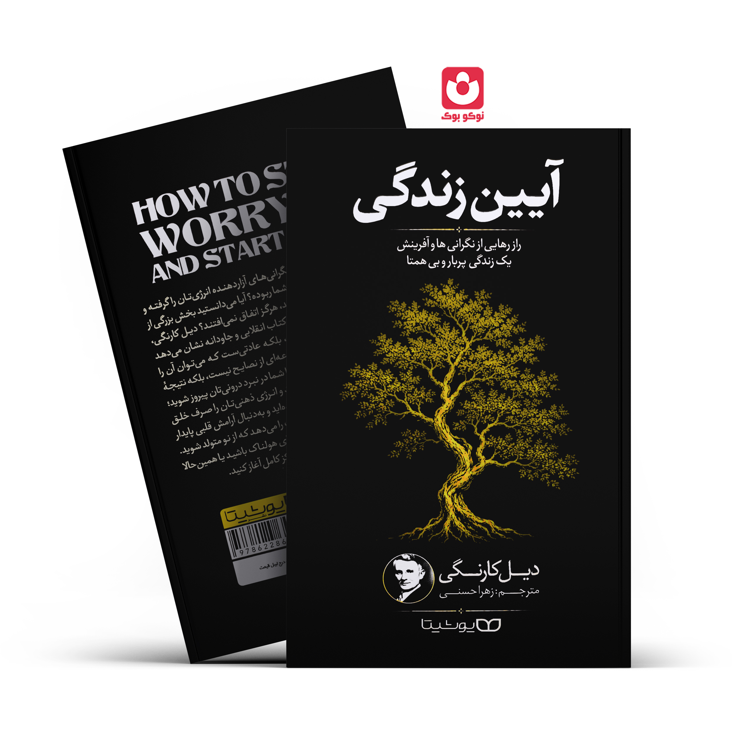 آیین-زندگی-یوشیتا کتاب آیین زندگی اثر دیل کارنگی انتشارات یوشیتا - تصویر 1