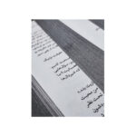 کتاب شعله آهنین (جلد سخت) اثر ربکا یاروس انتشارات آذربیان - تصویر 5